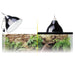Exo Terra Porcelain Clamp Lamp Reflector Large 25cm