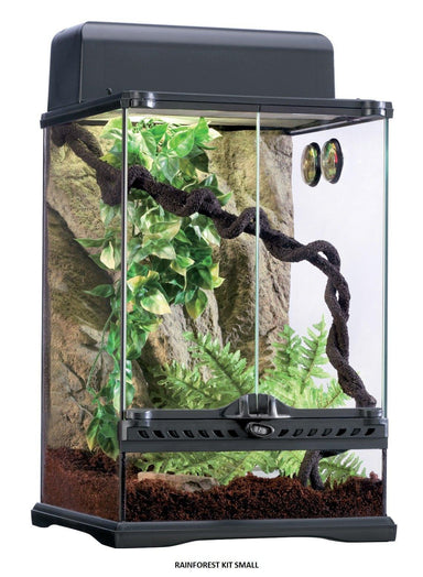Exo Terra Rainforest Habitat Terrarium Kit