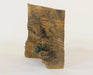 Exo Terra Rock Universal Rock Background 60cm x 60cm
