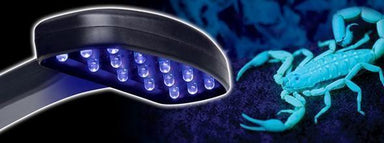 Exo Terra Scorpion Light