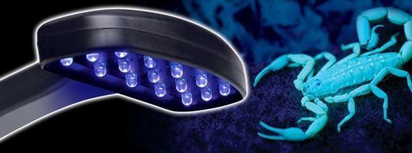 Exo Terra Scorpion Light