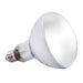 Exo Terra Solar Glo 160 Watt Mercury Vapour UVB