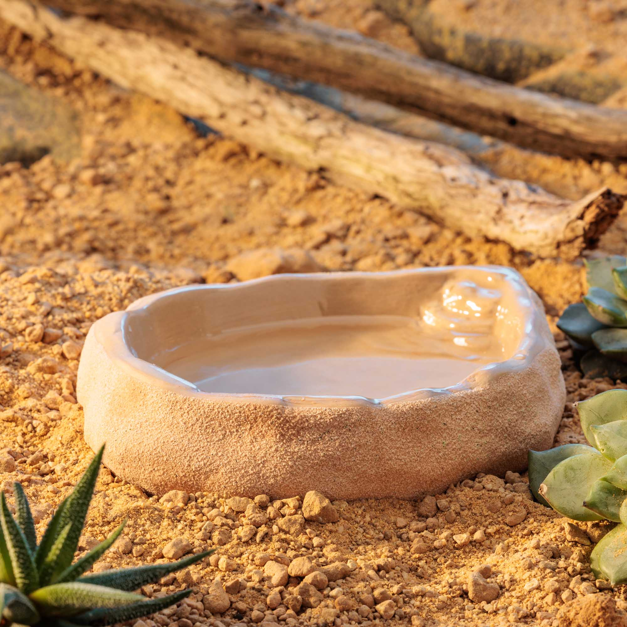 Exo Terra Large ceramic food and water dish in reptile terrarium