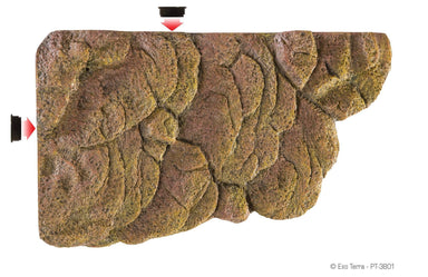 Exo Terra Turtle Bank Small