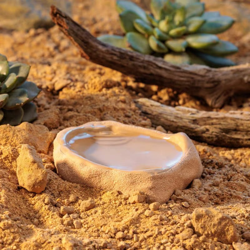 Exo Terra Terrarium Dish Small for reptile food water and invertebrate setups