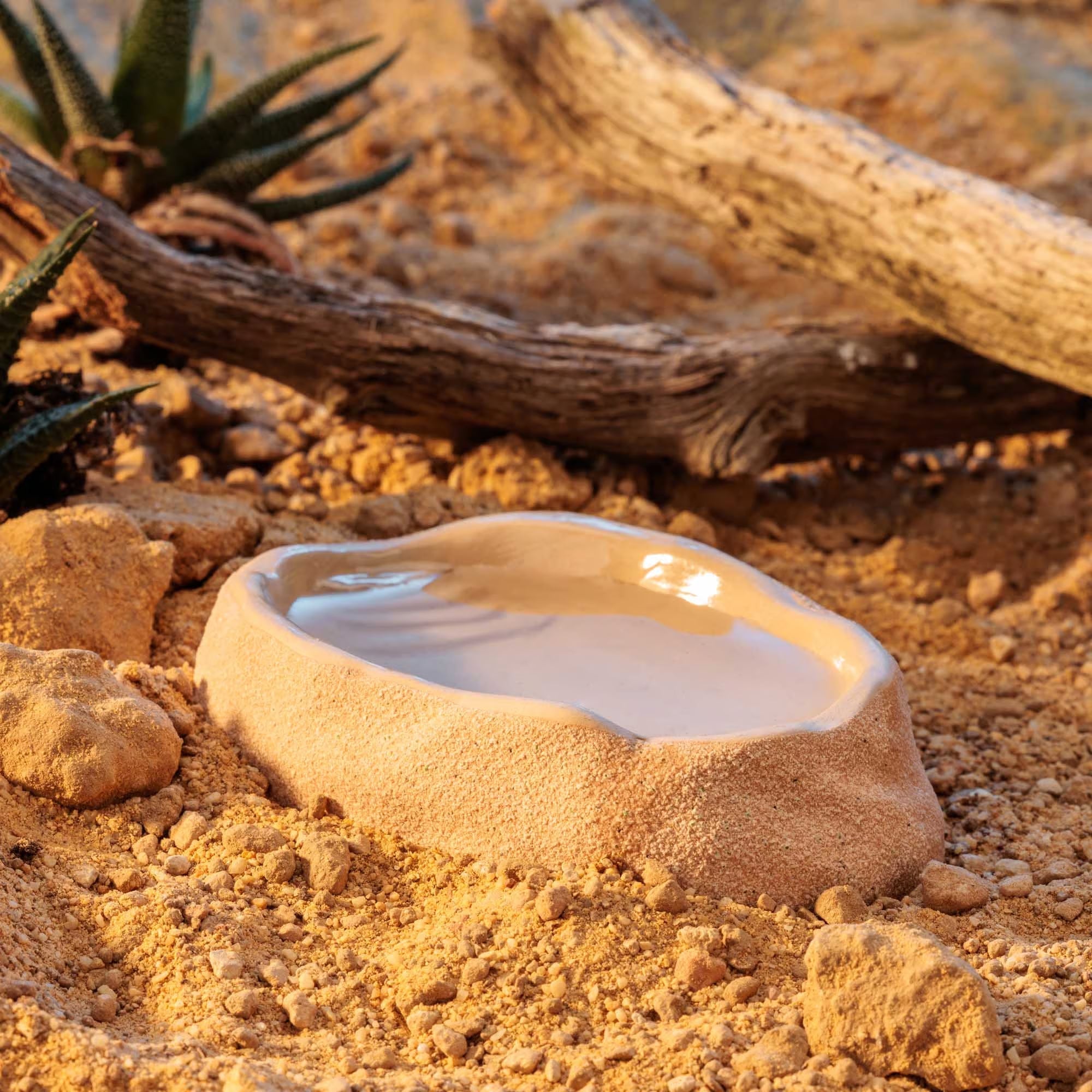 Exo Terra Medium Ceramic Terrarium Dish – Reptile Food & Water Bowl