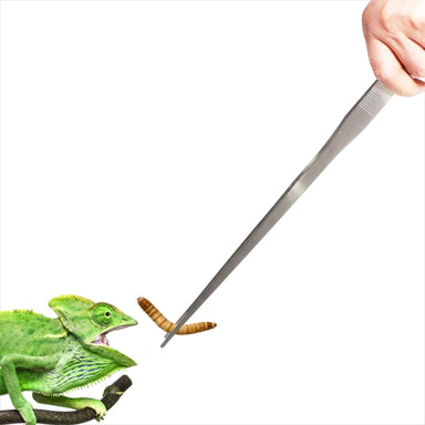 Extra Large Feeding Tongs – 48cm Stainless Steel Reptile Feeding Tool