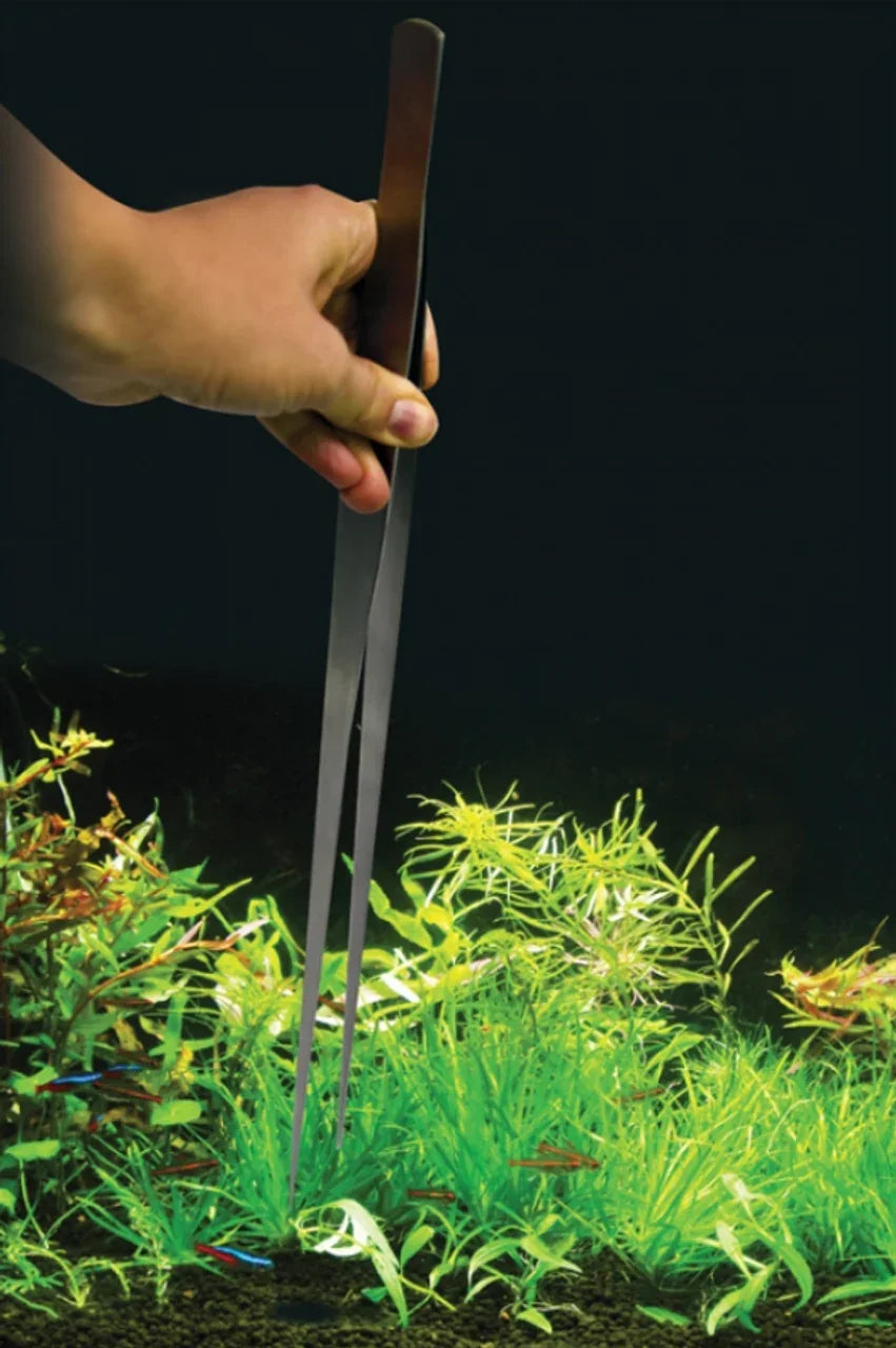 Extra Large Feeding Tongs – 48cm Stainless Steel Reptile Feeding Tool