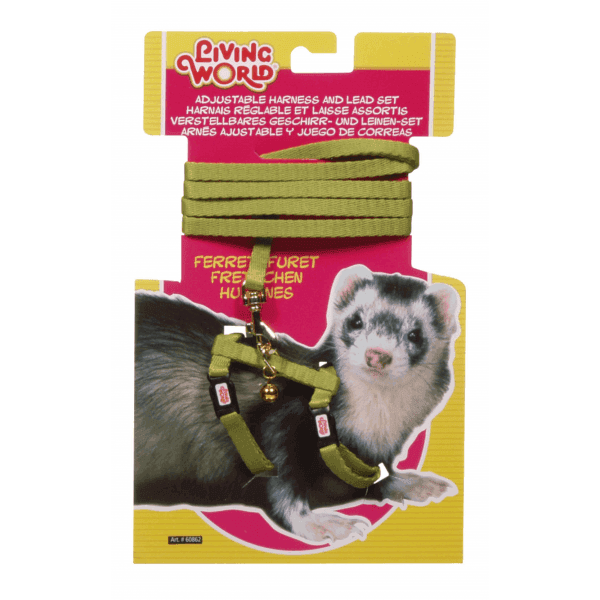 Ferret Harness Lead Set
