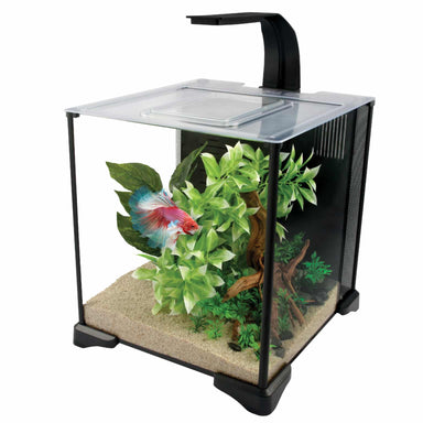 Fluval Betta Premium Aquarium Kit – 22.7L Glass Aquarium