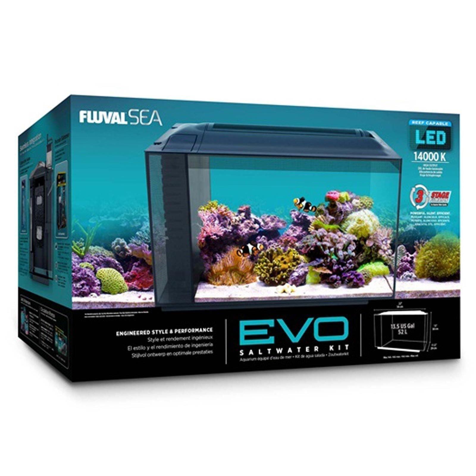 Online marine outlet aquarium store