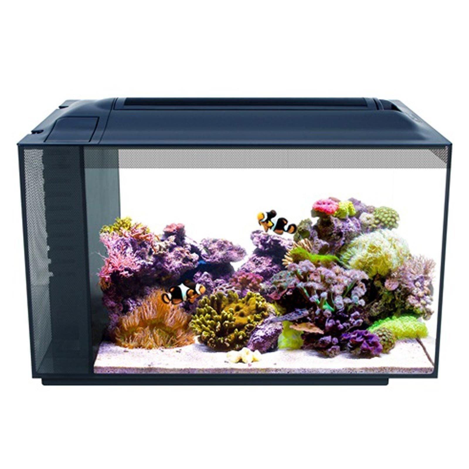 Fluval Evo Marine Aquarium 52 Litre