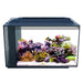 Fluval Evo Marine Aquarium 52 Litre