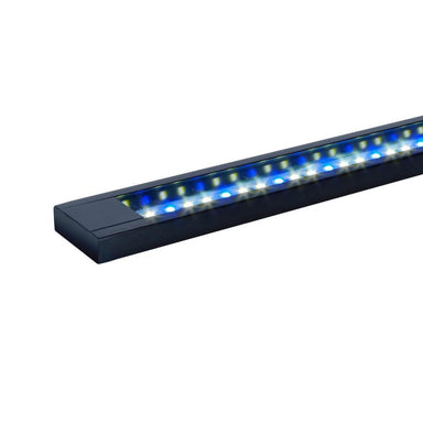 Fluval Flex LED Aquasky Freshwater 3.0 Light 123ltr