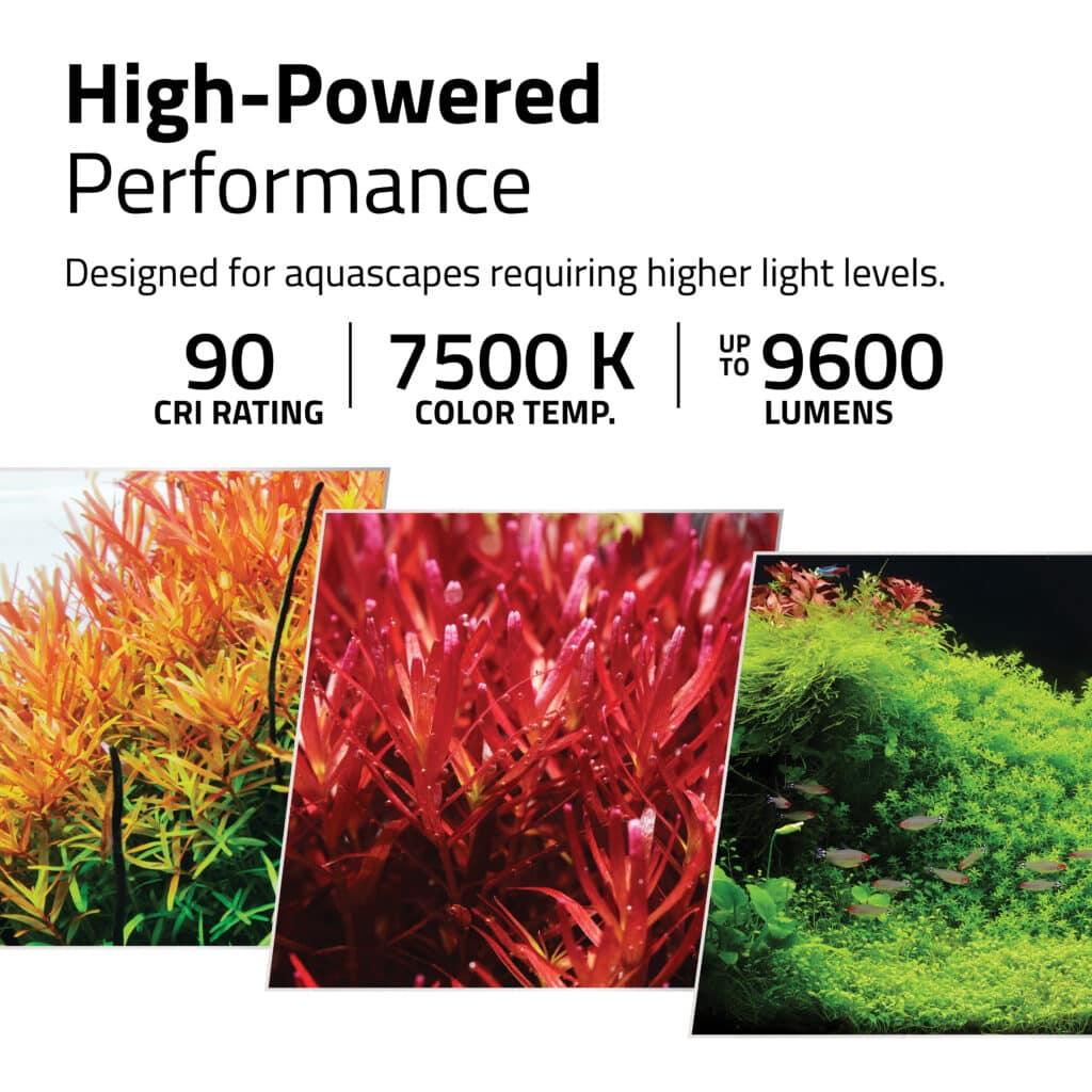 Fluval LED Plant PRO Light 4.0 120w Bluetooth 117-154cm