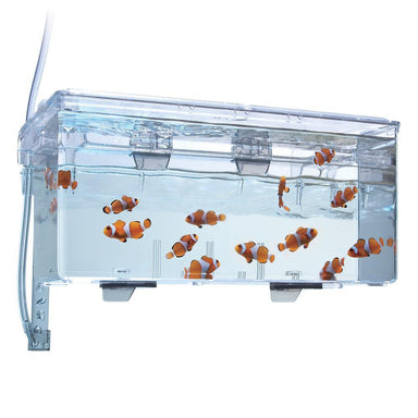 Fluval Multi Chamber Fish Breeding Box