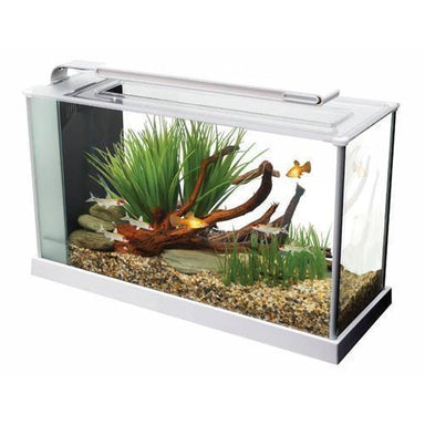 Fluval Spec 5 Aquarium 19L White