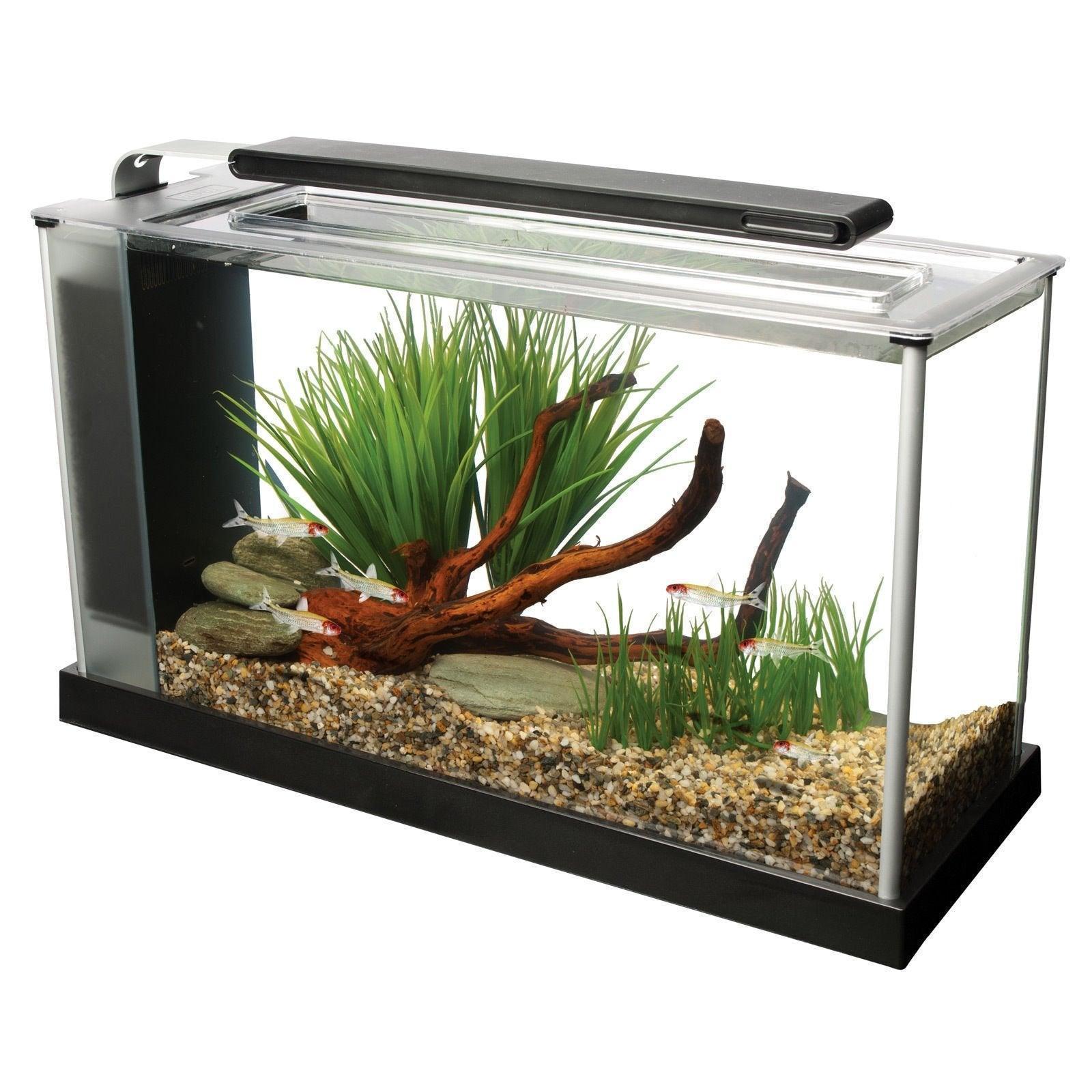 Fluval Spec 5 Aquarium 19L White
