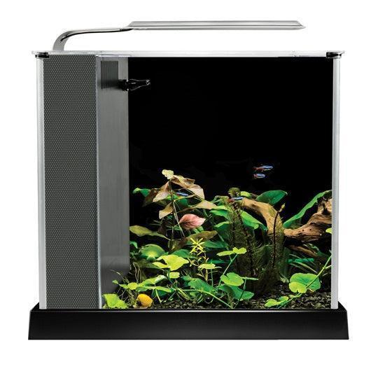 Fluval Spec Aquarium Kit 10L Black