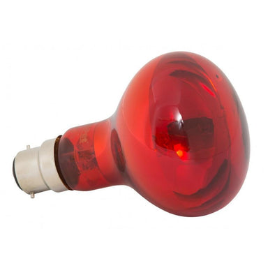 Infra Red 75W Bayonet Heat Globe