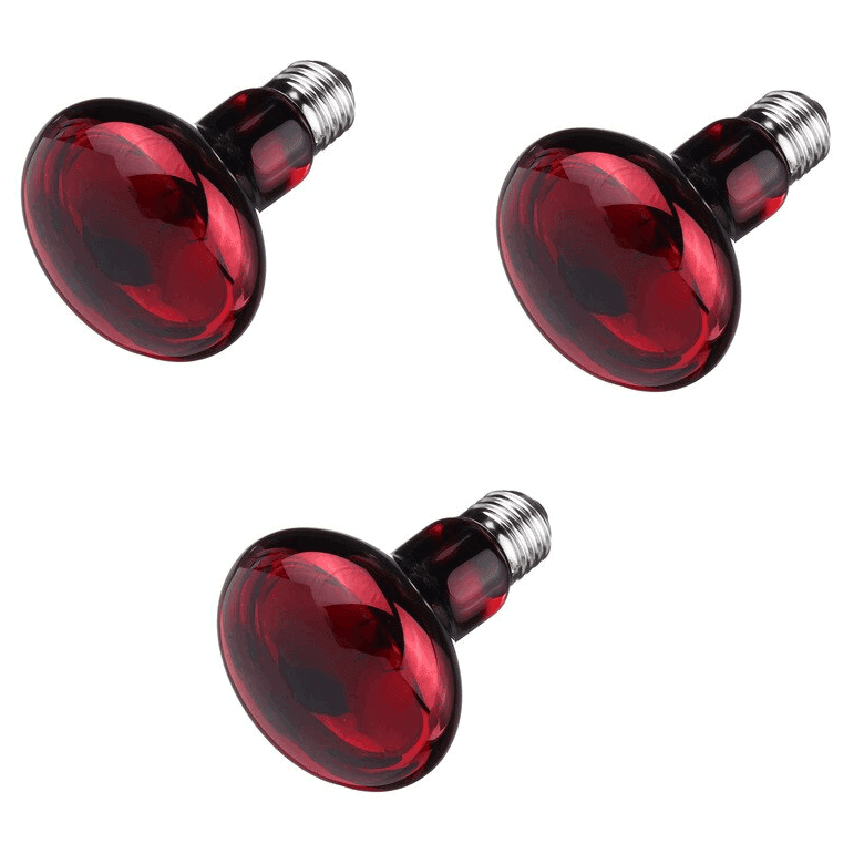 Infrared Reptile Heat Lamp x 3