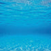 Juwel Ocean Blue Background Wallpaper 150x60cm
