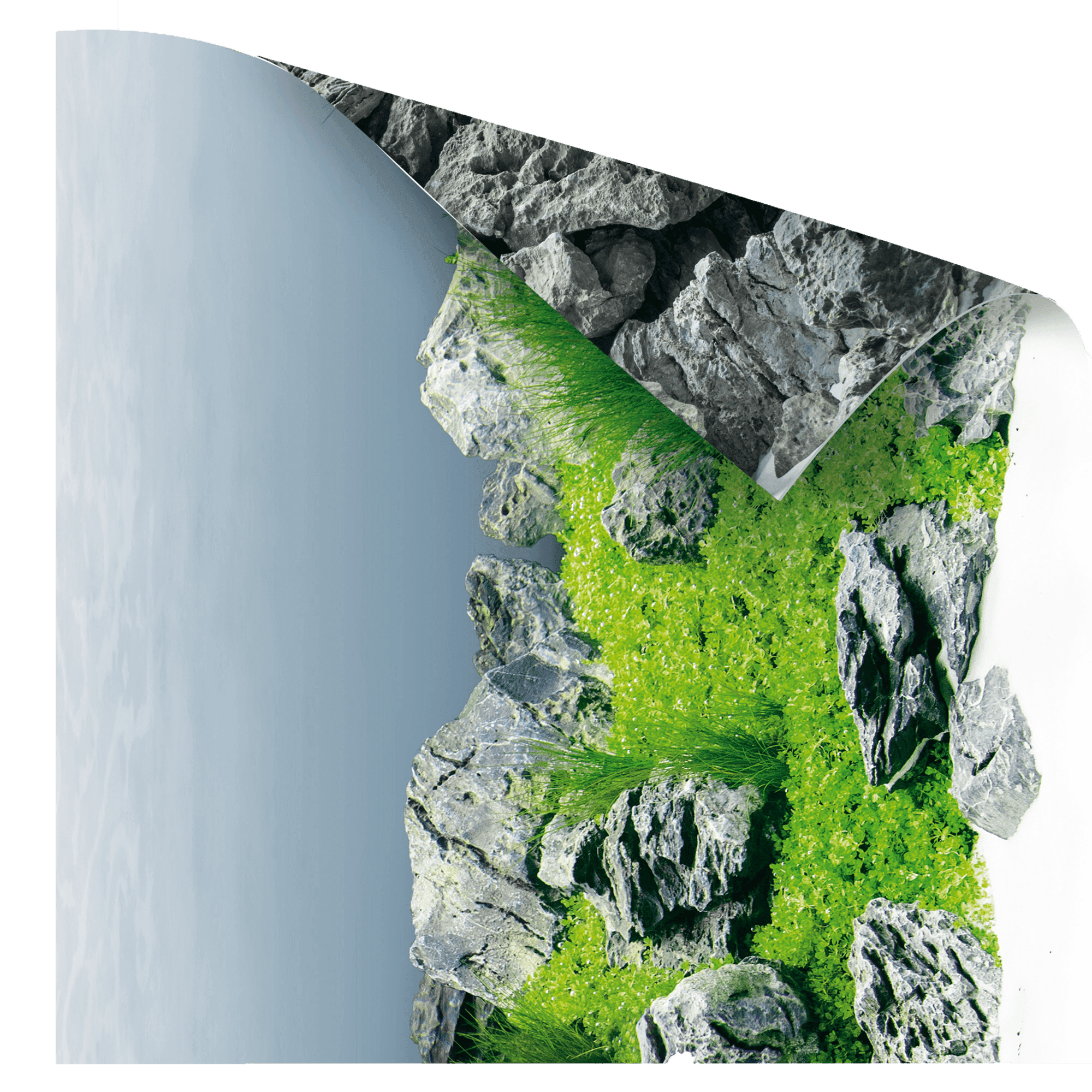 Juwel Rock Aquascape Aquarium Background Wallpaper