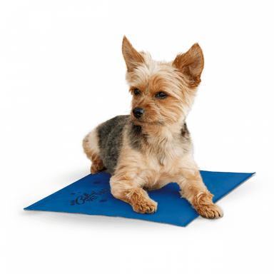 K & H Dog Cat Cooling Pad Mat 38 x 28cm