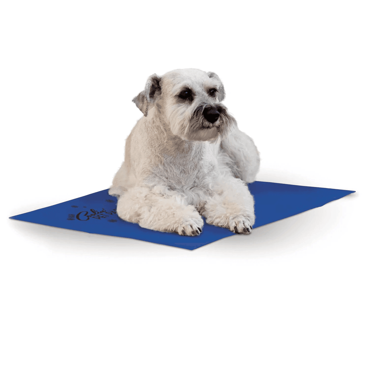 K H Dog Cat Cooling Pad Mat 38 x 28cm