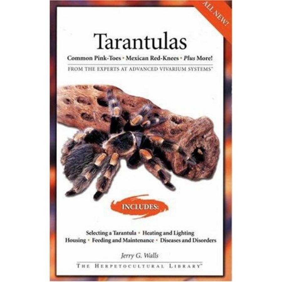 Keeping Tarantulas - Spiders Book
