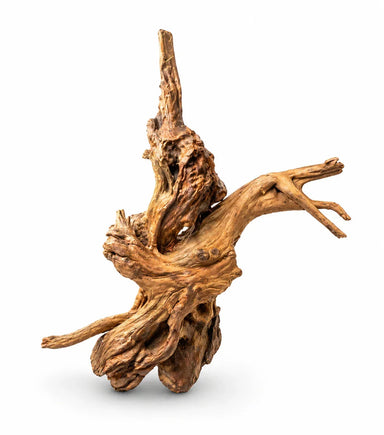 Natural Red Driftwood 40–60cm | Freshwater Aquascaping Wood