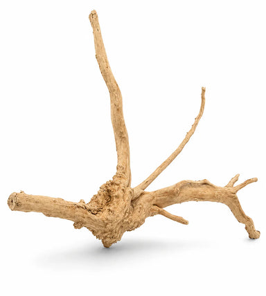 Natural Spider Wood Small 15–20cm | Aquarium & Reptile Branch