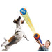 Nerf Dog Ball Blaster Mini