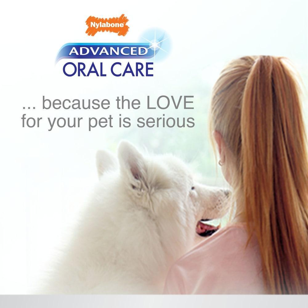 Nylabone Oral Care Tartar Control Dog Toothpaste