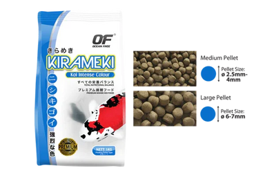 Ocean Free Kirameki Premium Intense Colour Koi Large 5Kg