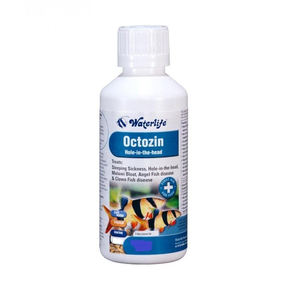 Octozin Hole in The Head Fish Medicine (10 tabs)