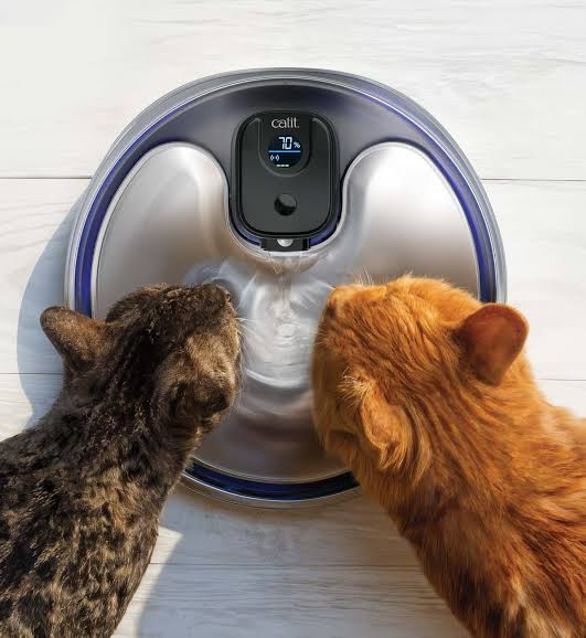 PIXI Stainless Steel UVC Drinking Fountain 5L
