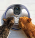PIXI Stainless Steel UVC Drinking Fountain 5L