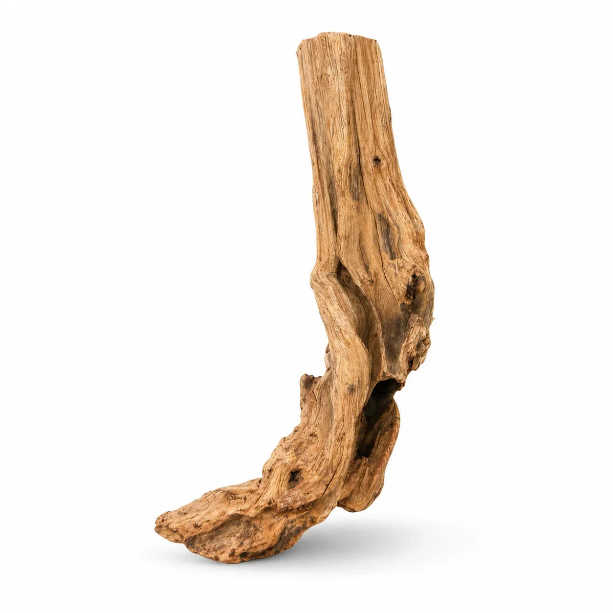 Natural Red Driftwood 15–25cm reptile habitat branch for climbing and enrichment