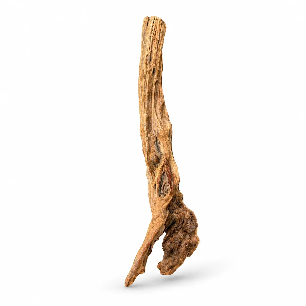 Natural Red Driftwood 15–25cm textured natural wood for freshwater aquarium layouts
