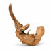 Natural Red Driftwood 20–30cm natural freshwater aquascaping wood