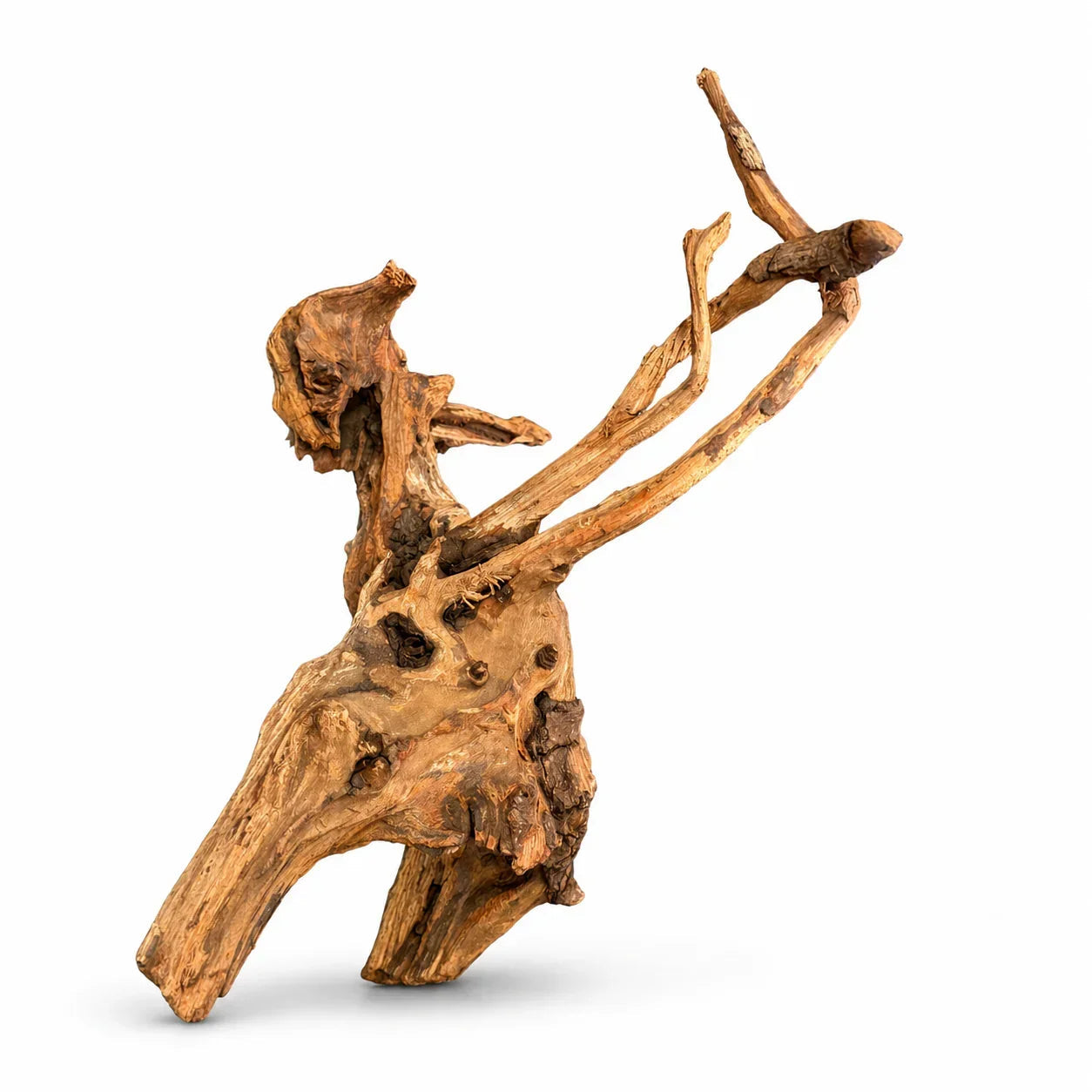 Natural Red Driftwood 25–35cm aquascaping branch for attaching moss and aquarium plants