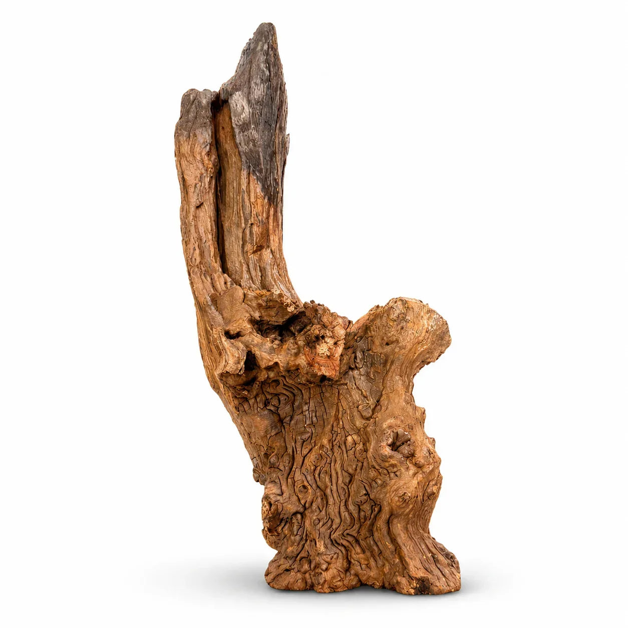 Natural Red Driftwood 30–40cm reptile habitat branch for climbing and enrichment