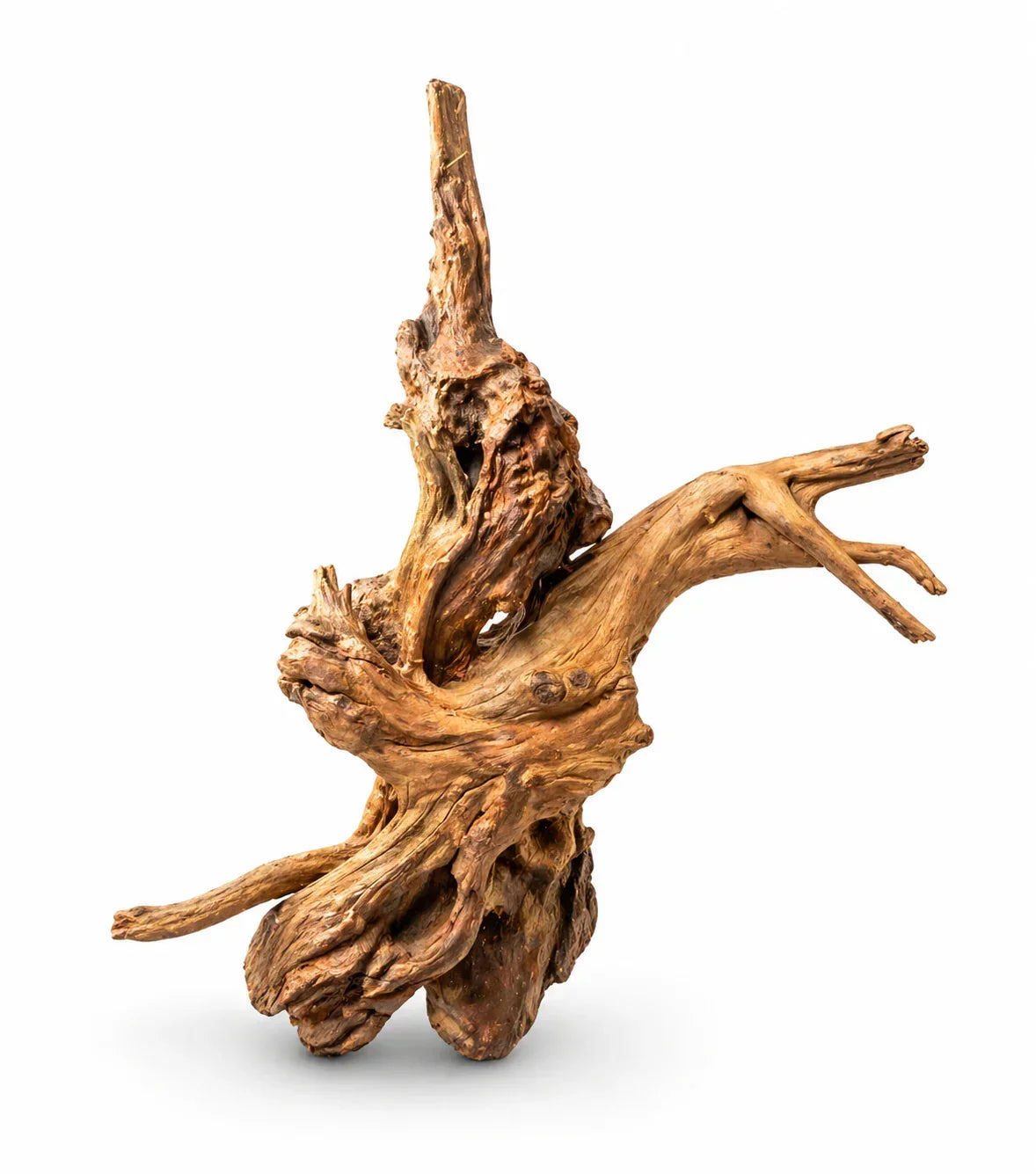 Natural Red Driftwood 40–60cm reptile habitat branch for climbing and enrichment