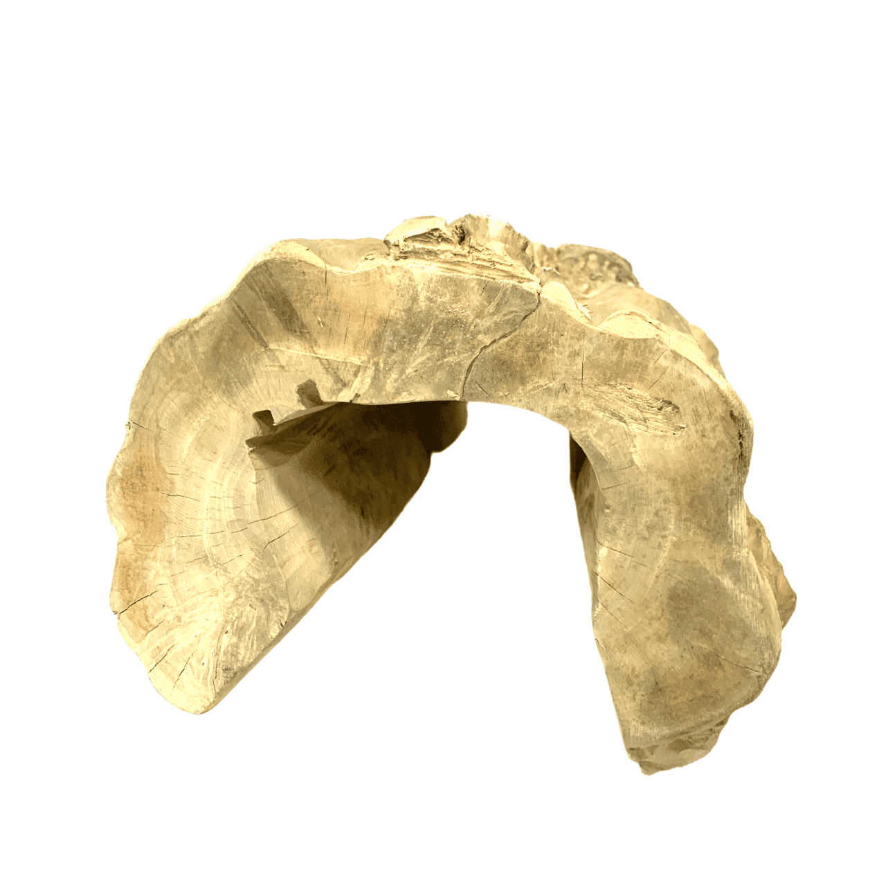 Reptile Hide Hollow Wood Extra Large