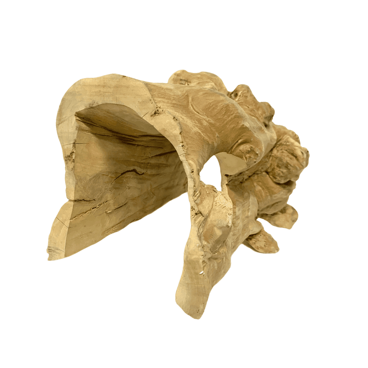 Reptile Hide Hollow Wood Medium