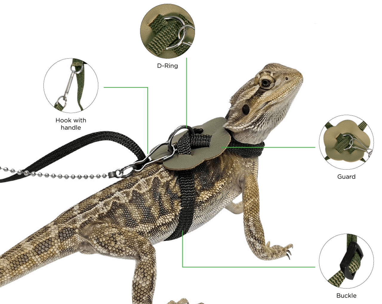 Reptile One Lizard Harness Lead