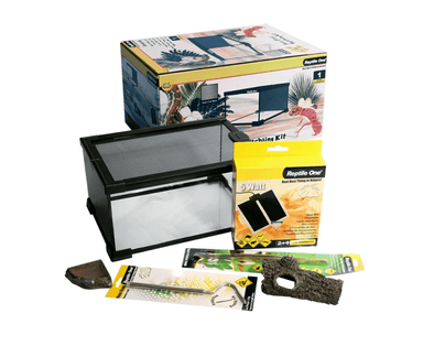 Reptile One Your First Hatchling Kit