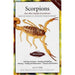 Scorpions and Other Popular Invertebrates Book