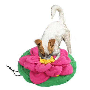 Snuffle Giant Lotus Dog Mat Green/Yellow 70 x 70cm